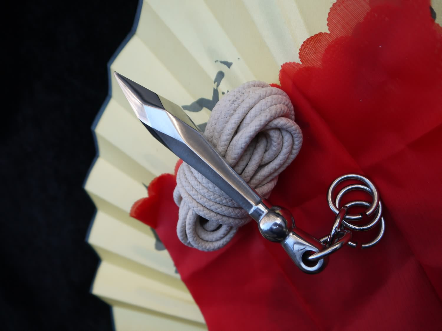 Rope dart,Stainless steel,Chinese martial arts equipment Distribution,kung fu - Chinese sword shop