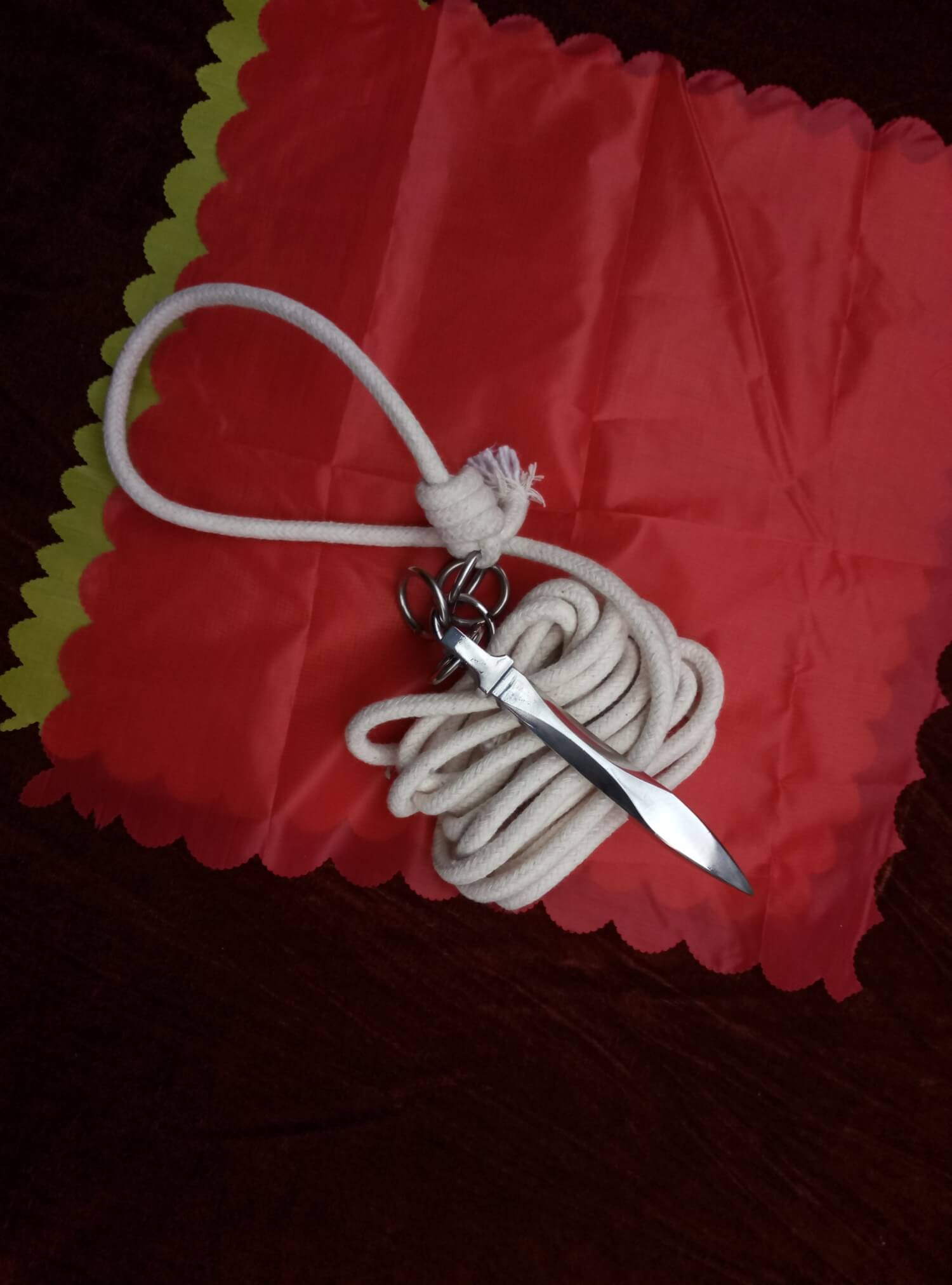 Rope dart,Stainless steel,Chinese Kung fu,Diamond - Chinese sword shop